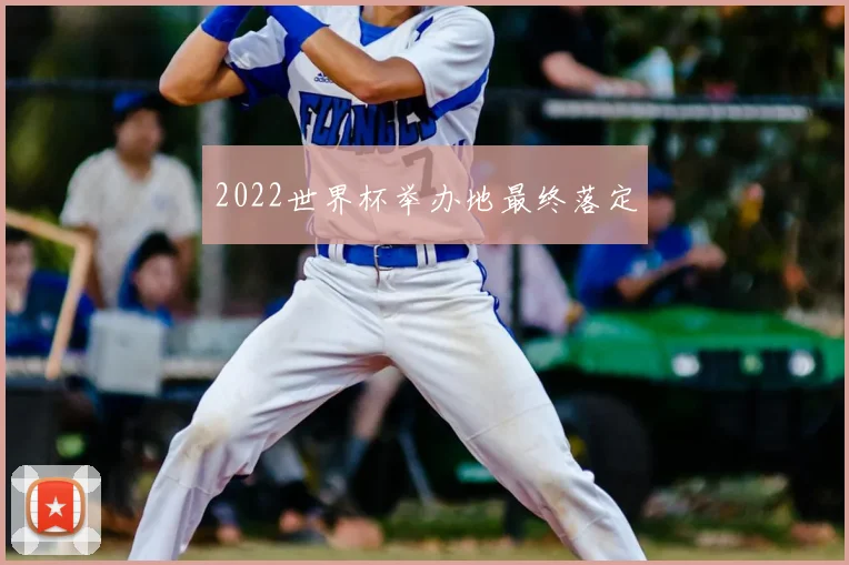 2022世界杯举办地最终落定