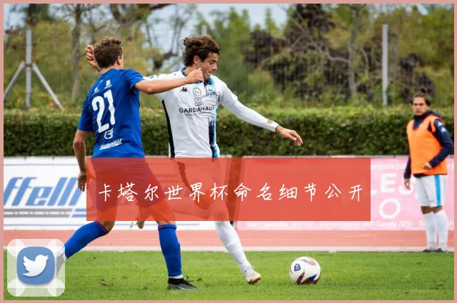 卡塔尔世界杯命名细节公开