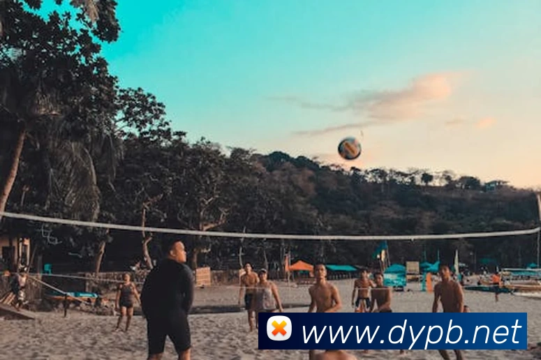 App Interface Preview